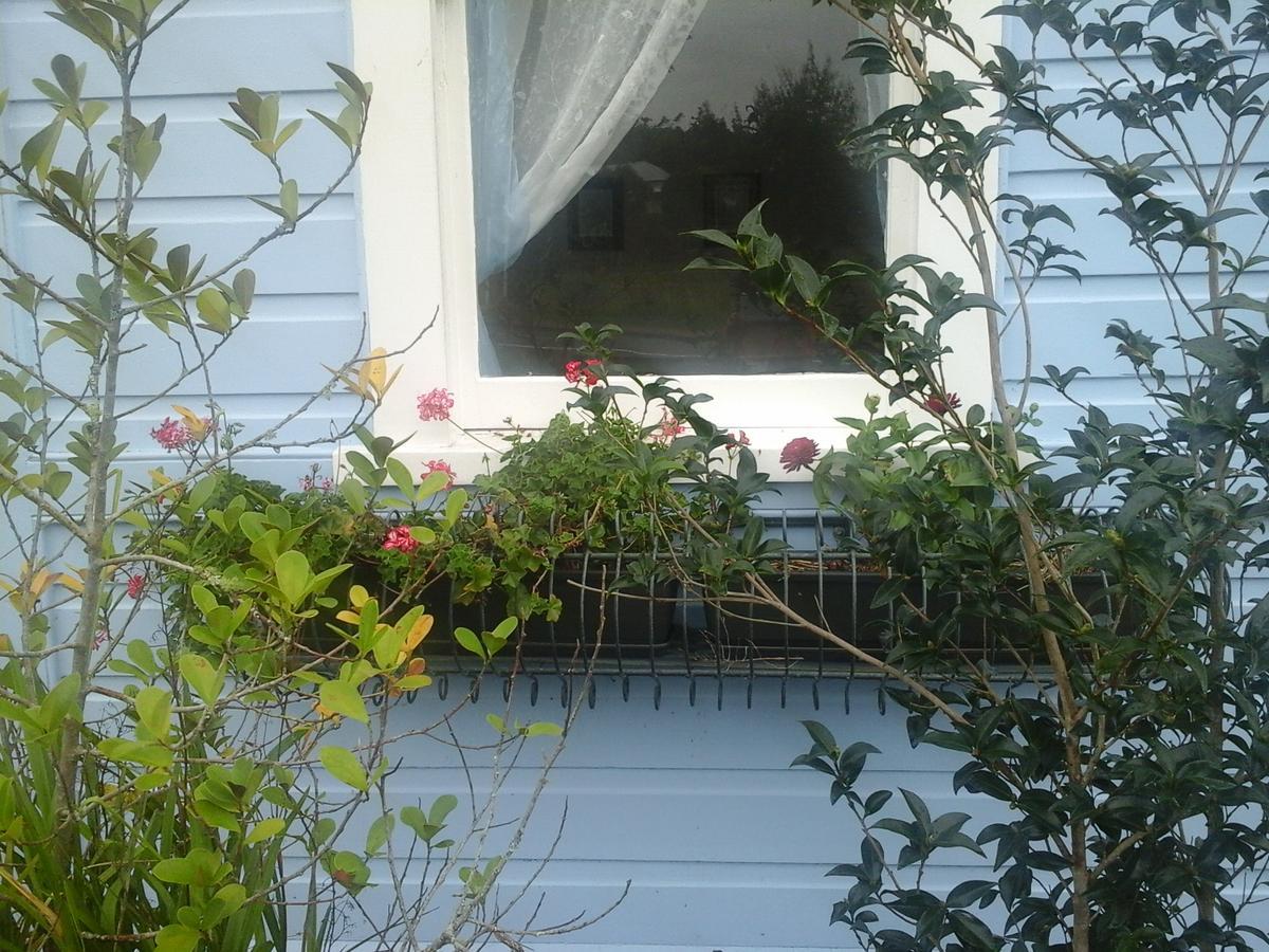 Paparoa The Old Post Office Guesthouse B&B المظهر الخارجي الصورة