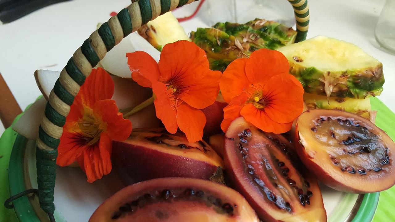 Paparoa The Old Post Office Guesthouse B&B المظهر الخارجي الصورة